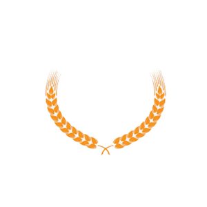 پروژه های موفق انجام شده